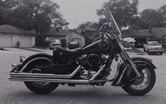 MY '02 800,  Black Bettie