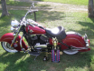 dogwoodbikerally2.jpg