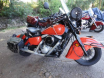 DSC00653_Medium_.JPG