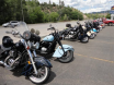 DSC00667_Medium_.JPG
