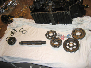 Drifter 800 Engine Rebuiild