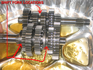 Drifter 800 Engine Rebuiild
