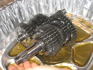 Drifter 800 Engine Rebuiild